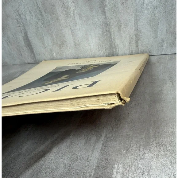 Vintage Picasso Peintures Époques Bleue Et Rose 1947 Ziai Art Softcover French